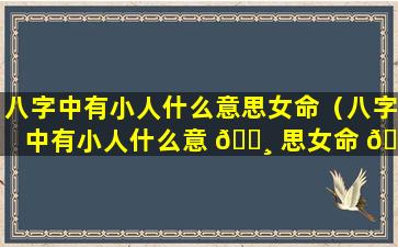 八字中有小人什么意思女命（八字中有小人什么意 🌸 思女命 🐟 好不好）